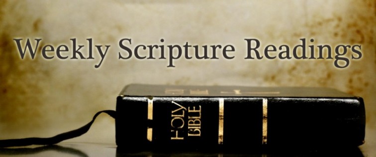 Scripture reading and questions for Jan. 14-20, 2018
